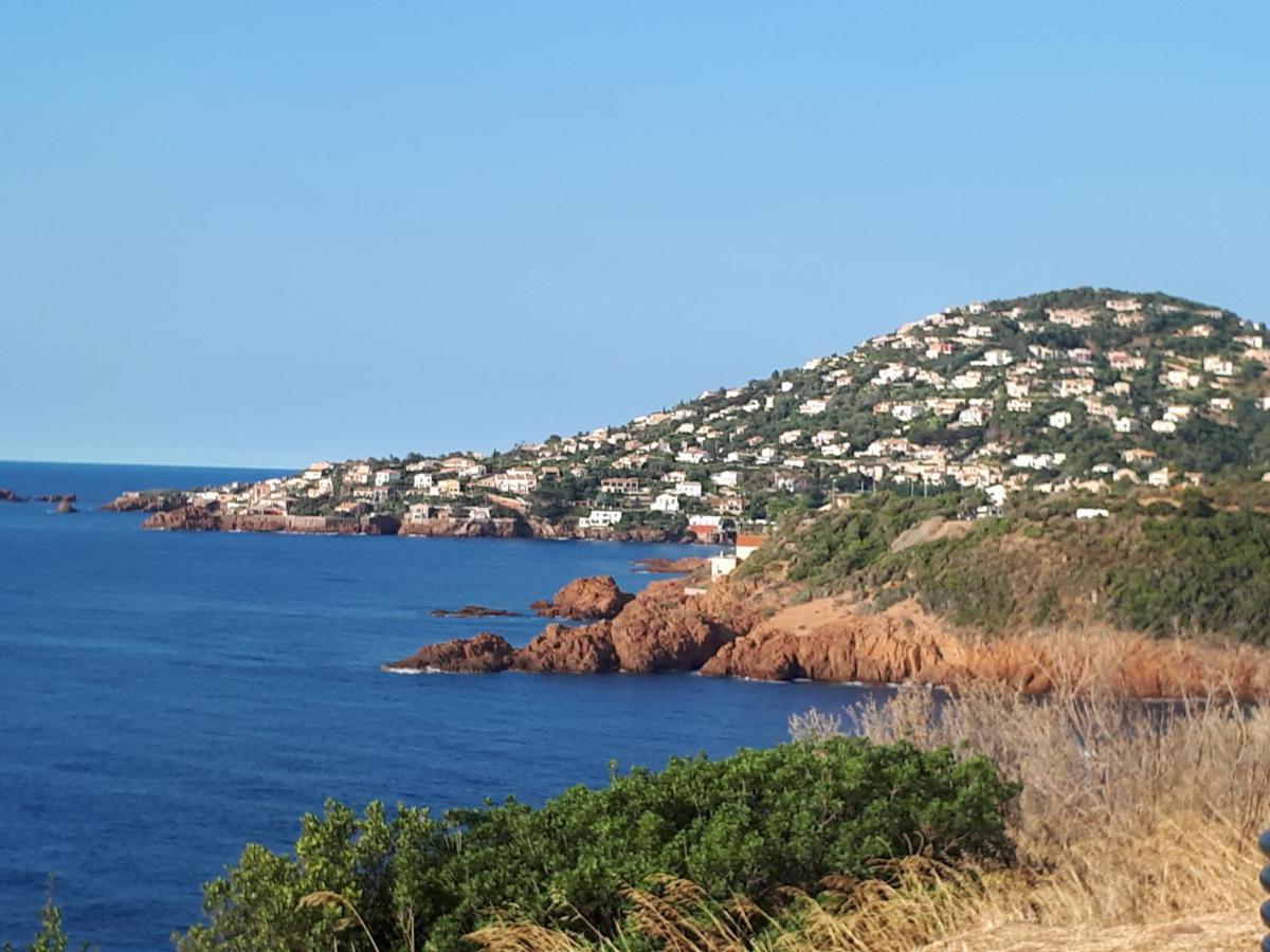 Frejus Plage T2, Piscine, Parking, Plages A 200M Exterior foto