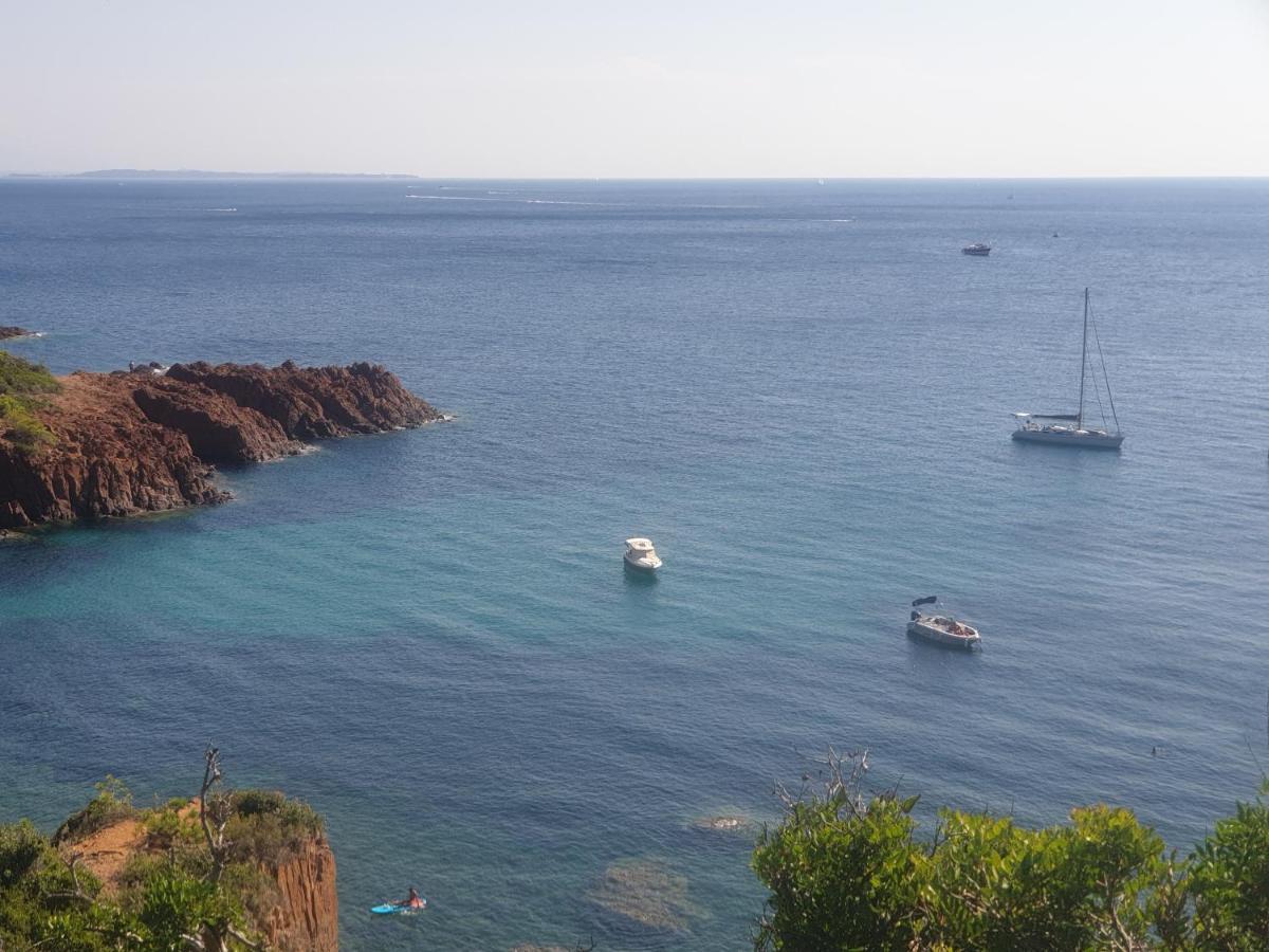 Frejus Plage T2, Piscine, Parking, Plages A 200M Exterior foto