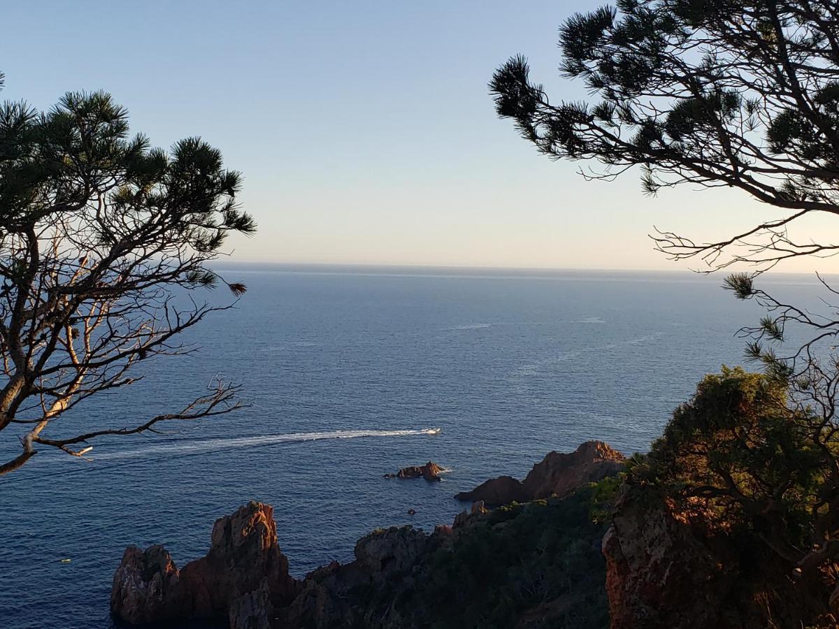 Frejus Plage T2, Piscine, Parking, Plages A 200M Exterior foto